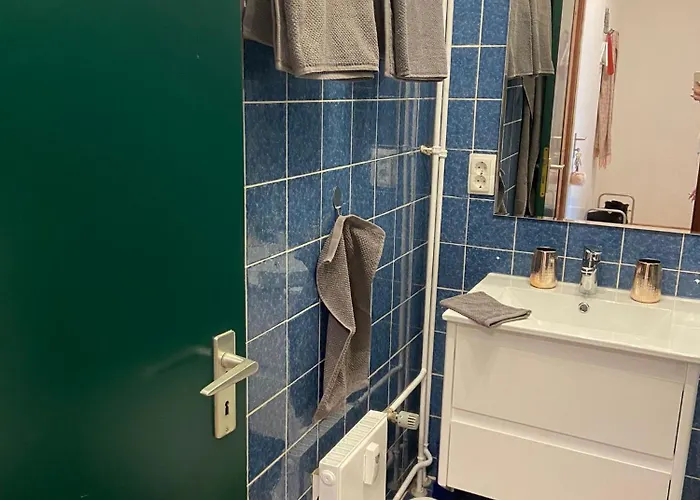 Franzi 公寓 戈斯拉尔