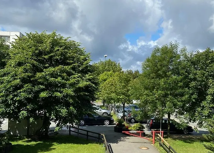 Franzi * 戈斯拉尔